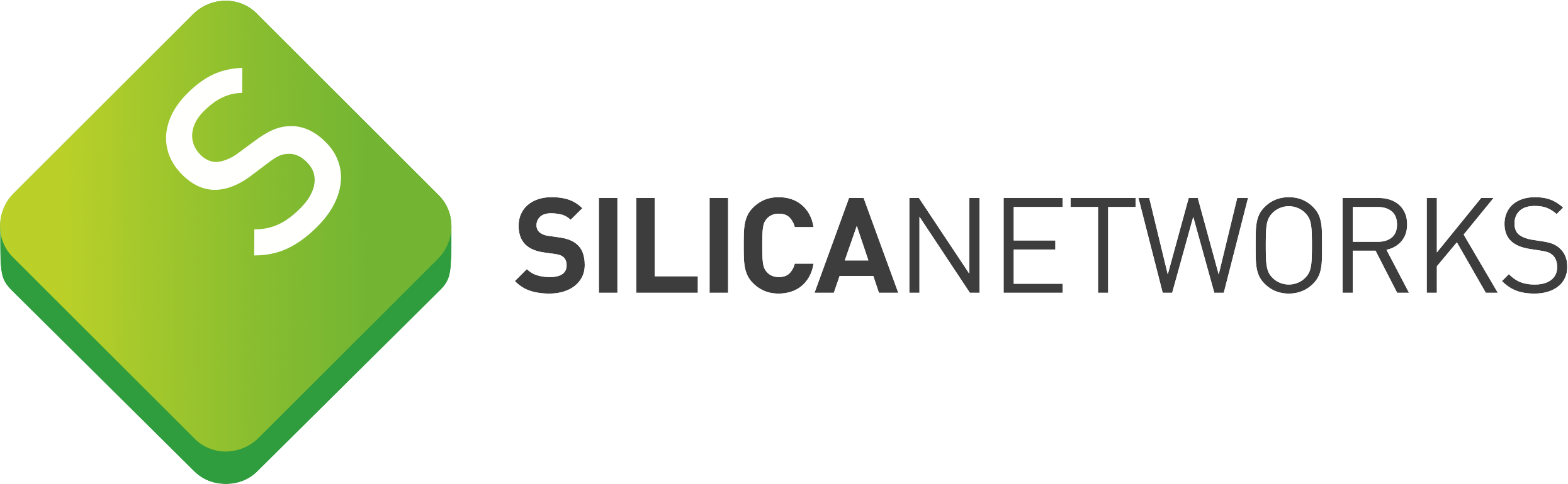 Silica Networks